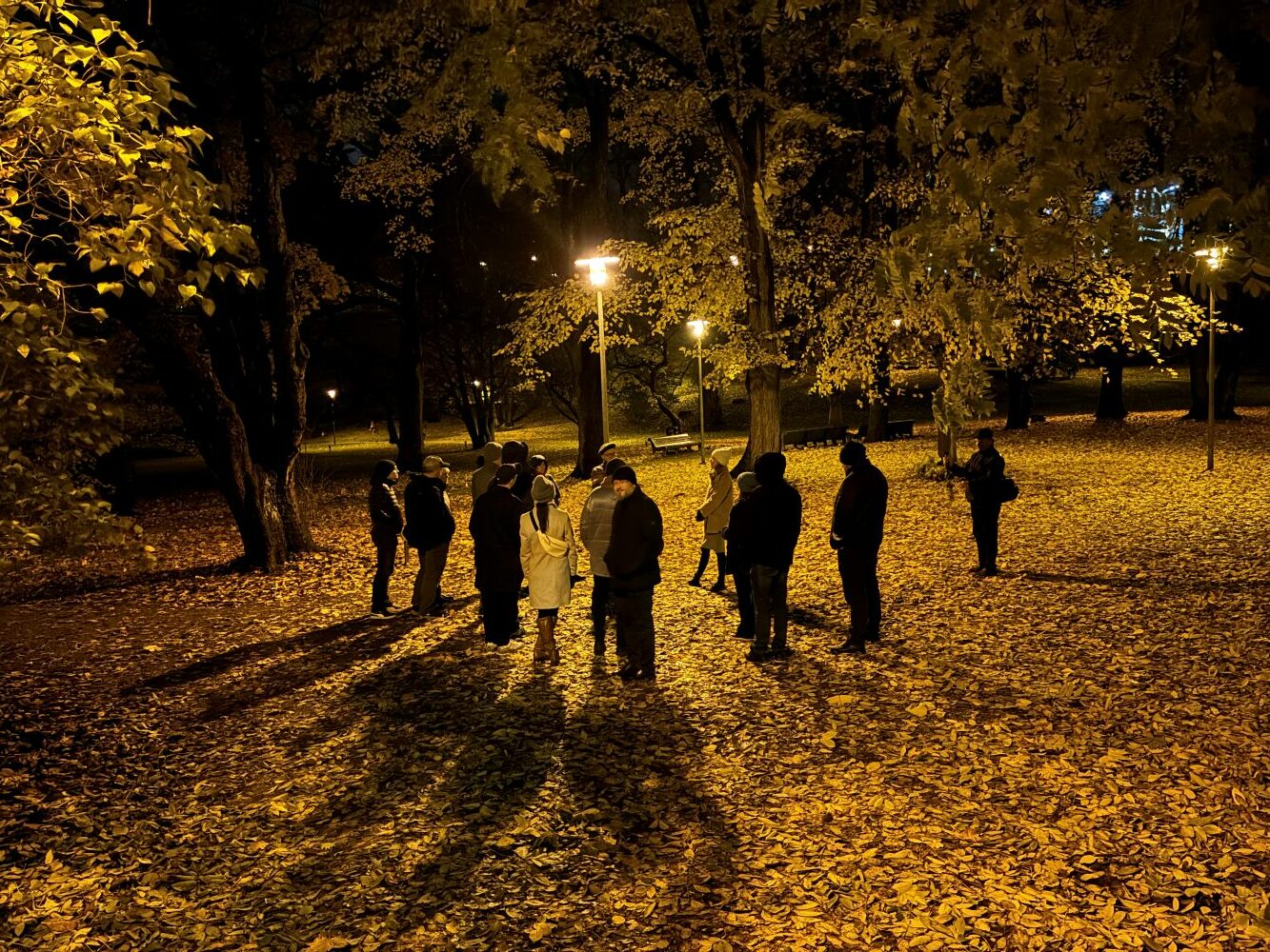 Photo of Hirvepark (Tallinn) night visit