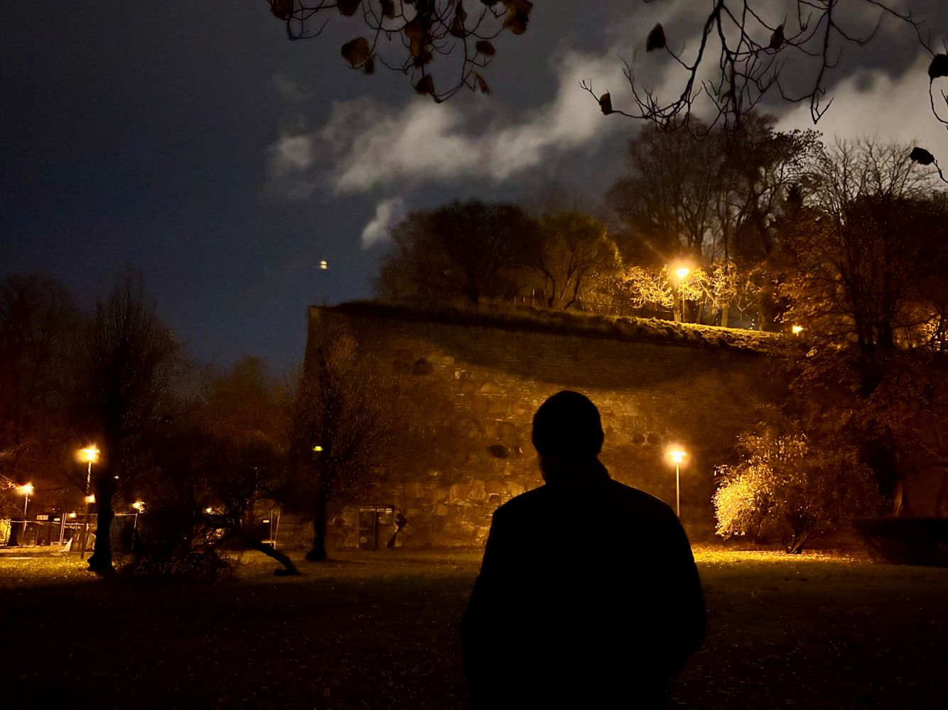Photo of Hirvepark (Tallinn) night visit